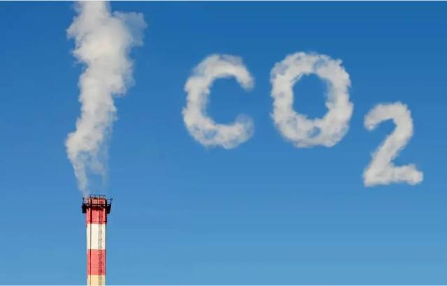 什么是碳交易？参与主体都有哪些？